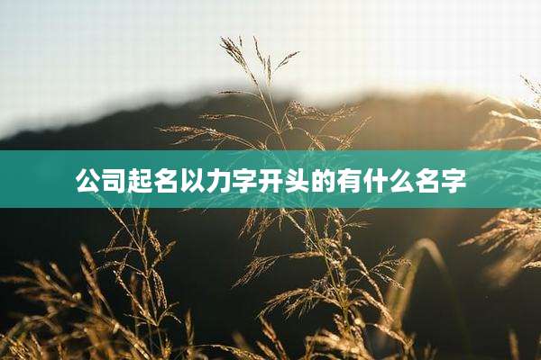 公司起名以力字开头的有什么名字