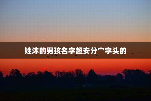 姓沐的男孩名字超安分宀字头的