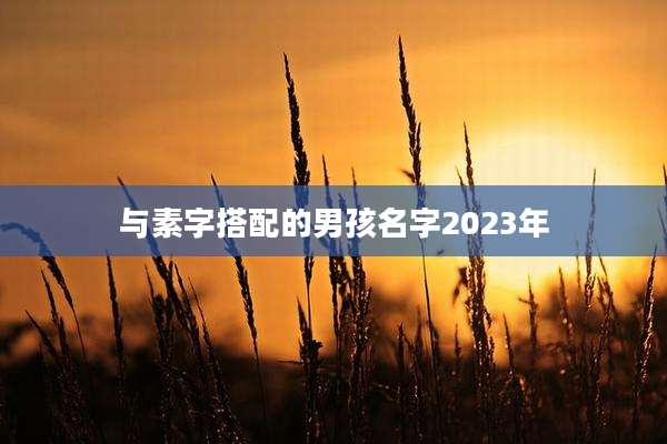 与素字搭配的男孩名字2023年