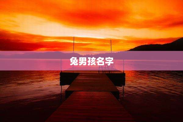 兔男孩名字
