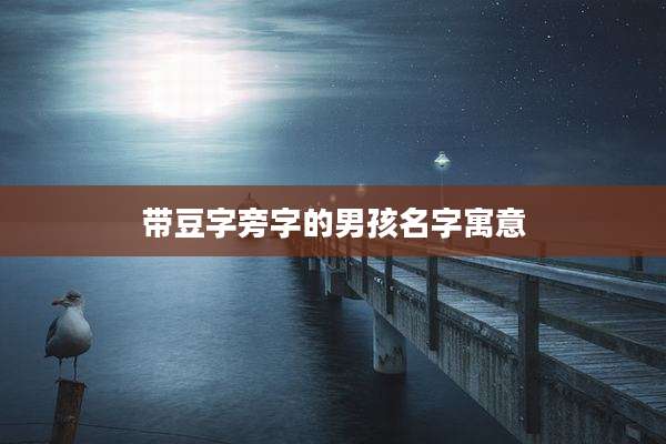 带豆字旁字的男孩名字寓意