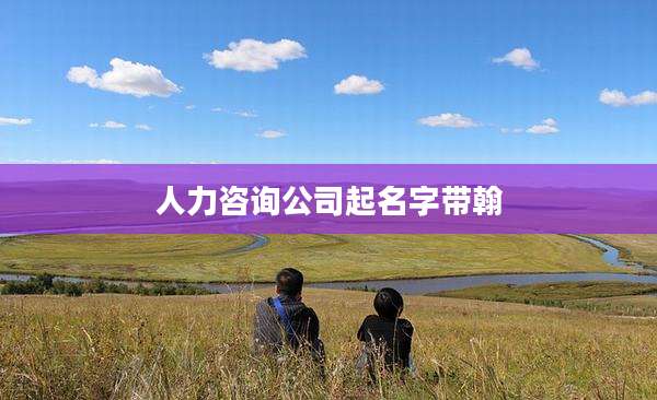人力咨询公司起名字带翰