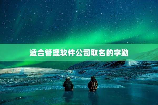 适合管理软件公司取名的字勤