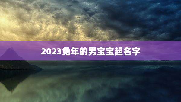 2023兔年的男宝宝起名字