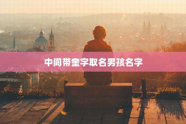 中间带奎字取名男孩名字
