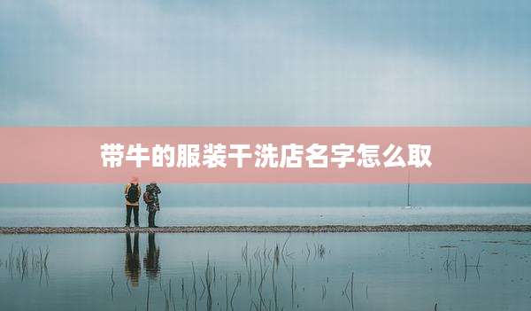 带牛的服装干洗店名字怎么取