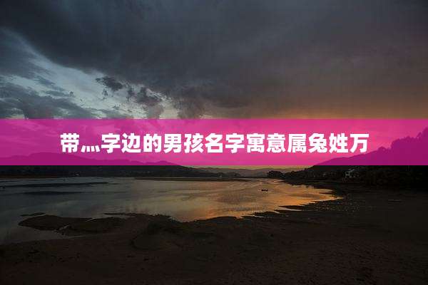 带灬字边的男孩名字寓意属兔姓万