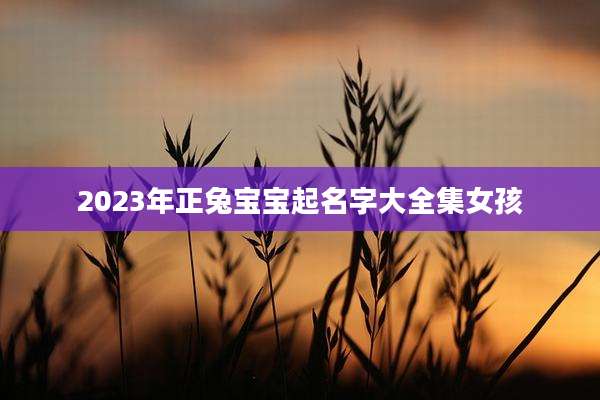 2023年正兔宝宝起名字大全集女孩