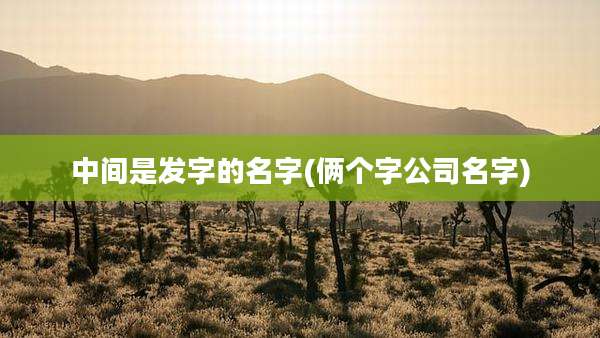 中间是发字的名字(俩个字公司名字)