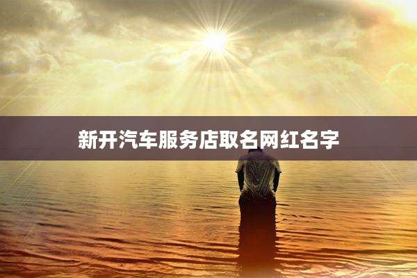 新开汽车服务店取名网红名字