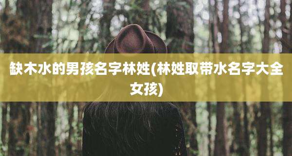 缺木水的男孩名字林姓(林姓取带水名字大全女孩)