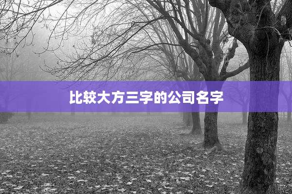 比较大方三字的公司名字
