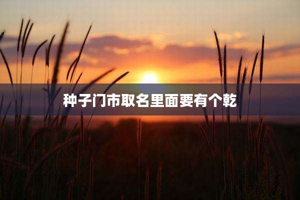 种子门市取名里面要有个乾