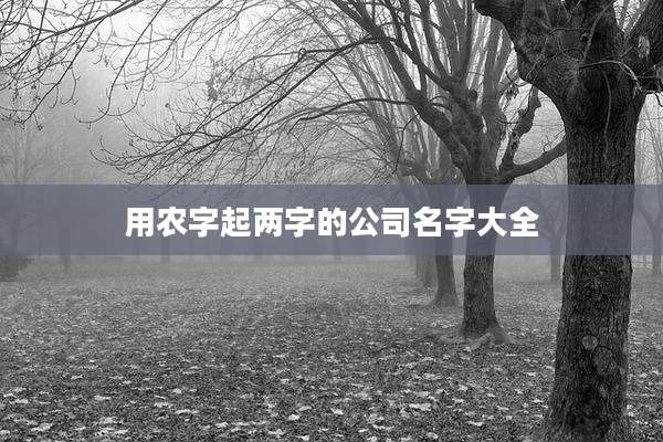 用农字起两字的公司名字大全