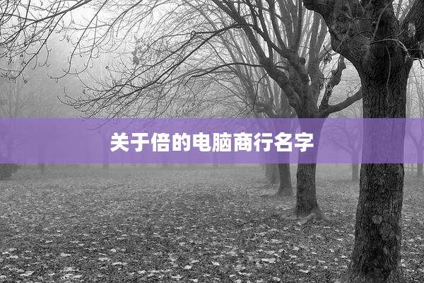 关于倍的电脑商行名字