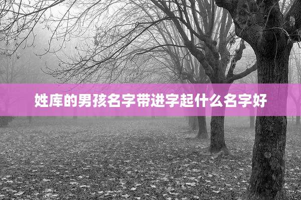 姓库的男孩名字带进字起什么名字好