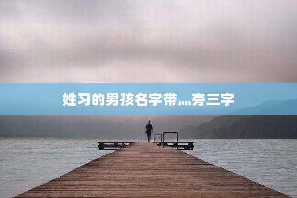 姓习的男孩名字带灬旁三字