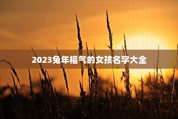 2023兔年福气的女孩名字大全