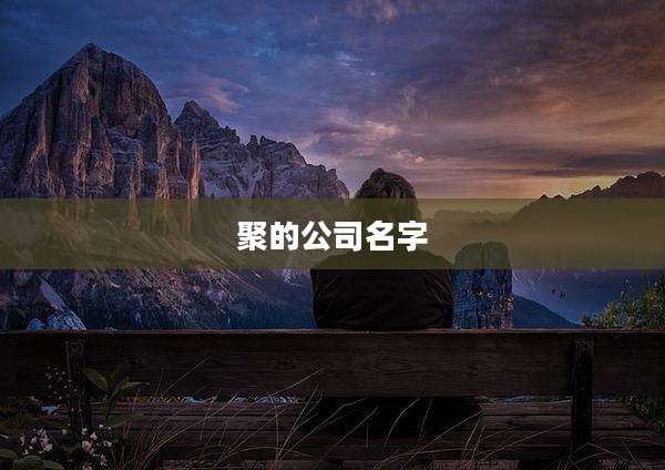 聚的公司名字