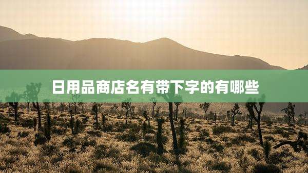 日用品商店名有带下字的有哪些
