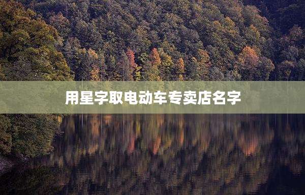 用星字取电动车专卖店名字