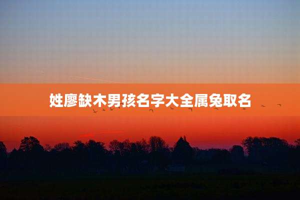 姓廖缺木男孩名字大全属兔取名