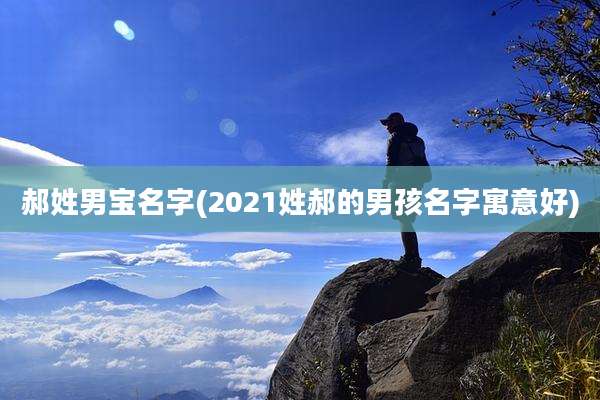 郝姓男宝名字(2021姓郝的男孩名字寓意好)