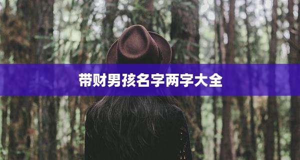 带财男孩名字两字大全