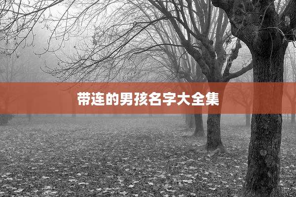 带连的男孩名字大全集