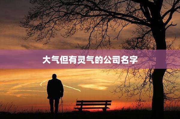 大气但有灵气的公司名字