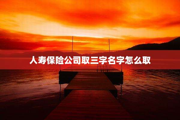 人寿保险公司取三字名字怎么取