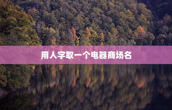 用人字取一个电器商场名