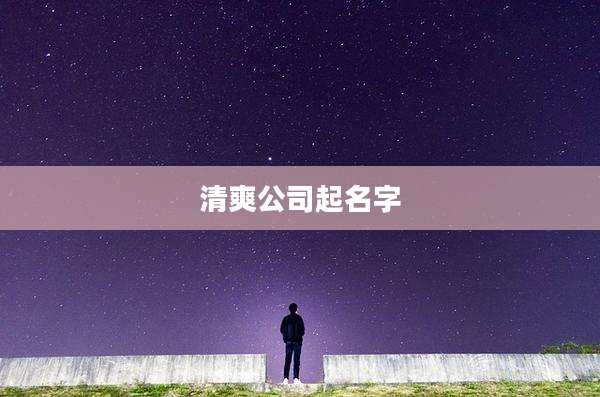 清爽公司起名字
