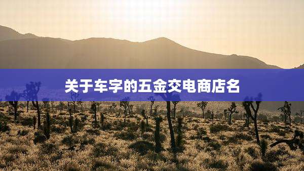 关于车字的五金交电商店名