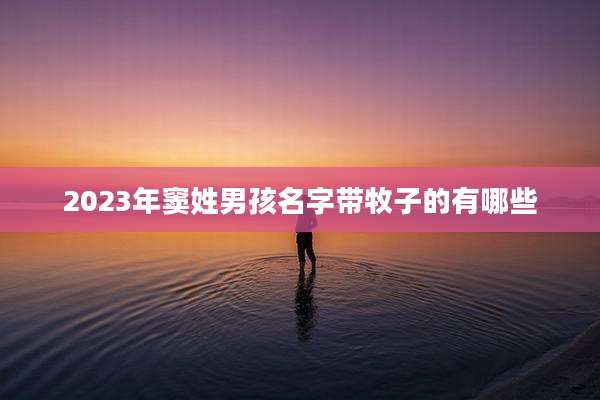 2023年窦姓男孩名字带牧子的有哪些