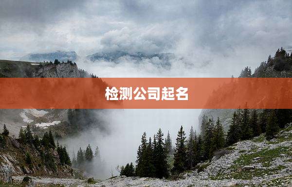 检测公司起名