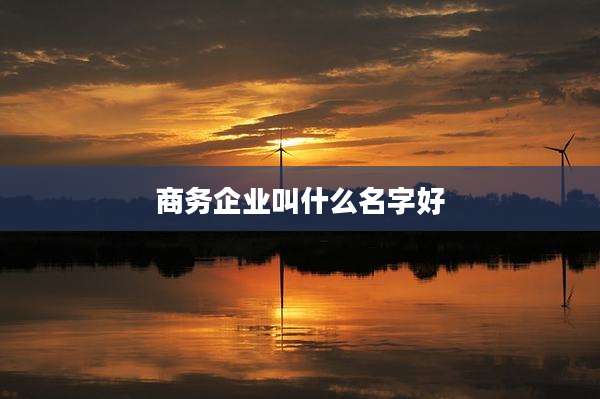 商务企业叫什么名字好