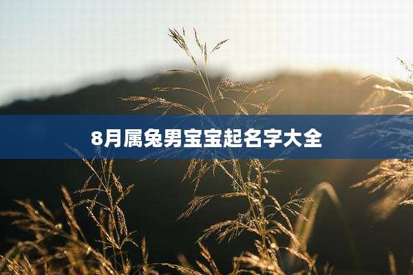 8月属兔男宝宝起名字大全