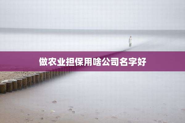 做农业担保用啥公司名字好