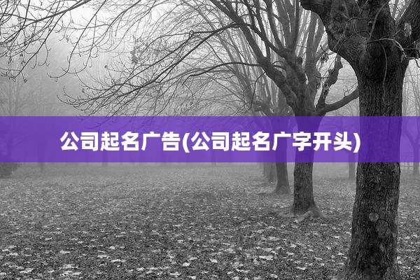 公司起名广告(公司起名广字开头)