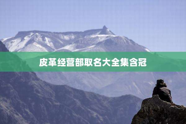 皮革经营部取名大全集含冠