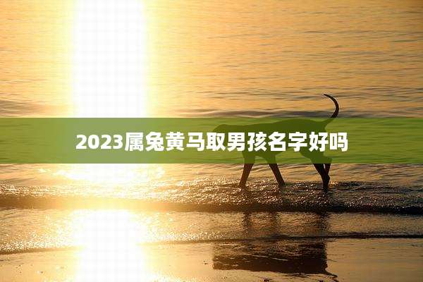 2023属兔黄马取男孩名字好吗