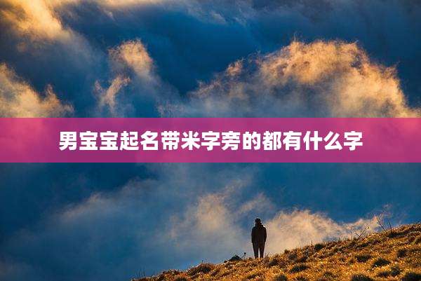 男宝宝起名带米字旁的都有什么字