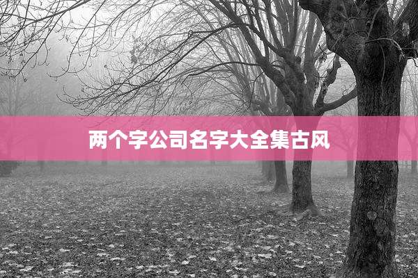 两个字公司名字大全集古风