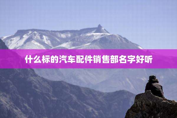 什么标的汽车配件销售部名字好听