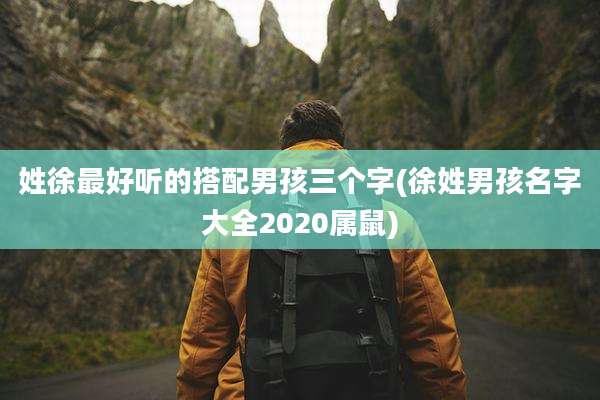 姓徐最好听的搭配男孩三个字(徐姓男孩名字大全2020属鼠)