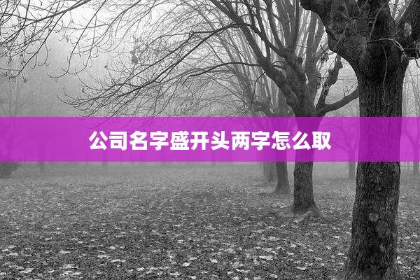 公司名字盛开头两字怎么取