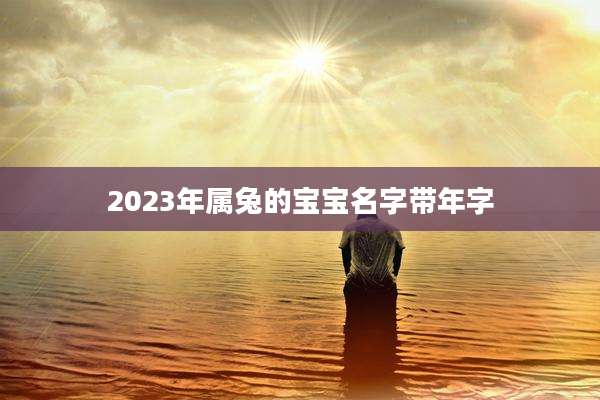 2023年属兔的宝宝名字带年字