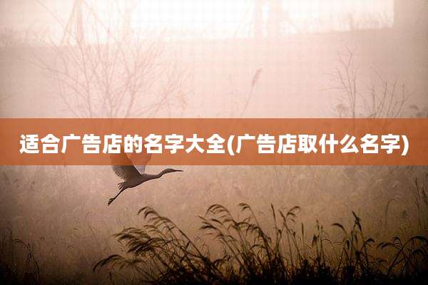适合广告店的名字大全(广告店取什么名字)