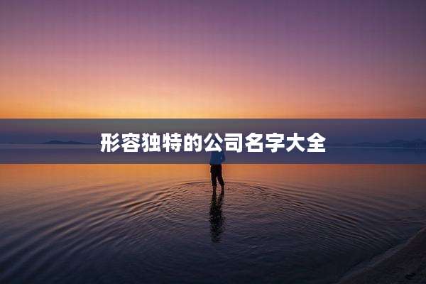 形容独特的公司名字大全